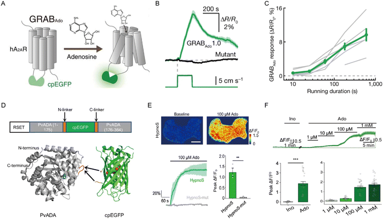 image file: d5sd00170f-f4.tif