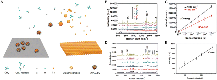 image file: d5sd00170f-f7.tif