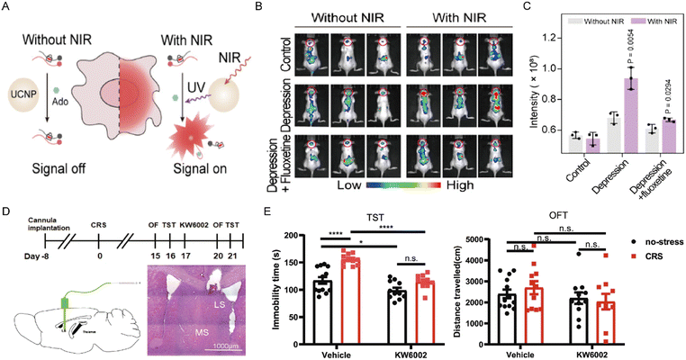 image file: d5sd00170f-f9.tif