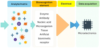 image file: d5sd00181a-f1.tif