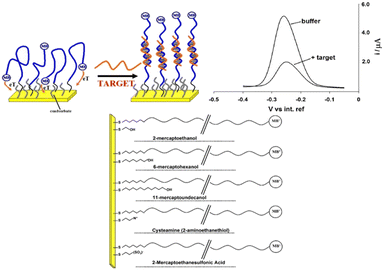 image file: d5sd00181a-f4.tif