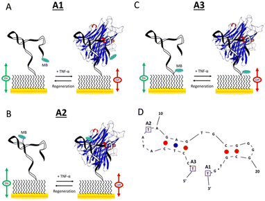 image file: d5sd00181a-f9.tif
