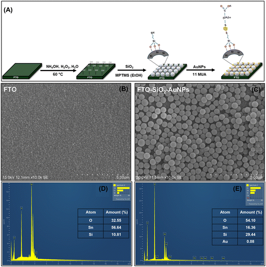 image file: d5sd00185d-f2.tif