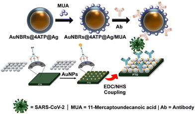 image file: d5sd00185d-s1.tif