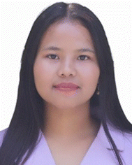 image file: d5sd00186b-p1.tif