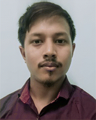 image file: d5sd00186b-p3.tif