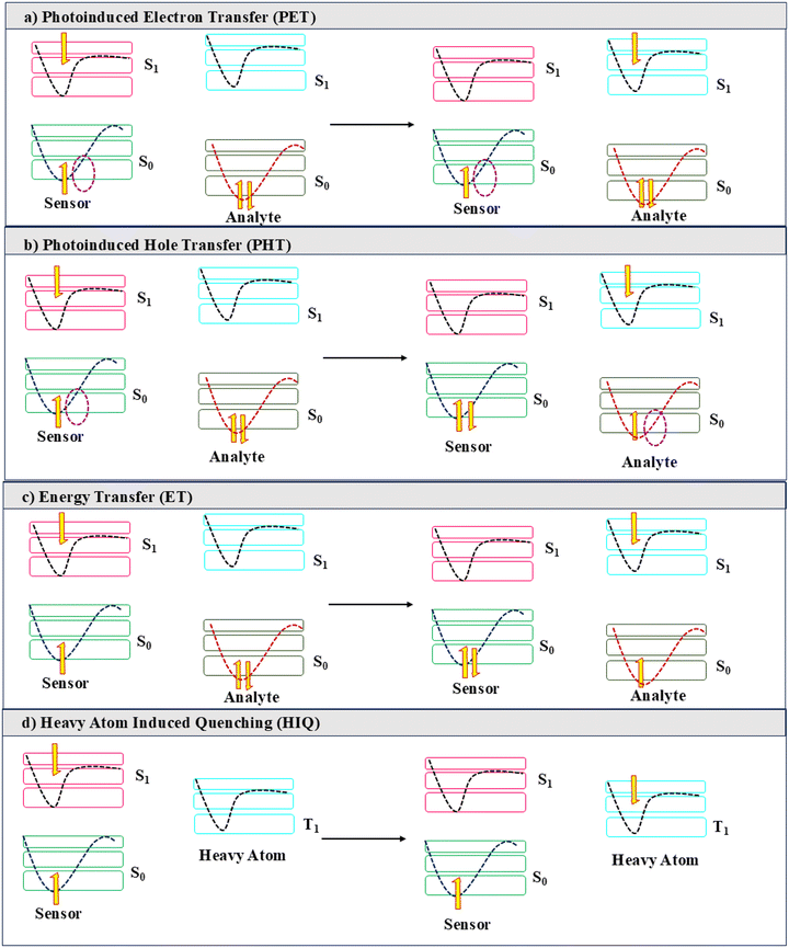 image file: d5sd00186b-s1.tif
