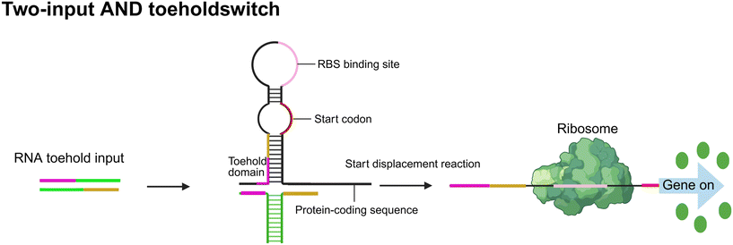 image file: d5sd00200a-f2.tif