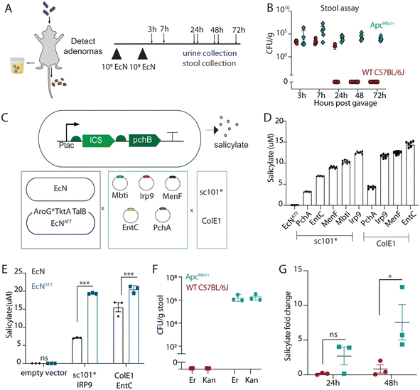 image file: d5sd00200a-f5.tif