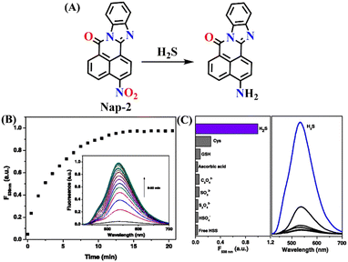 image file: d5sd00201j-f2.tif