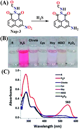 image file: d5sd00201j-f3.tif