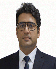 image file: d5sd00223k-p2.tif