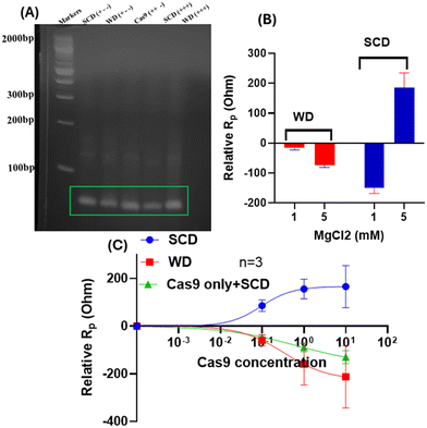 image file: d5sd00227c-f4.tif