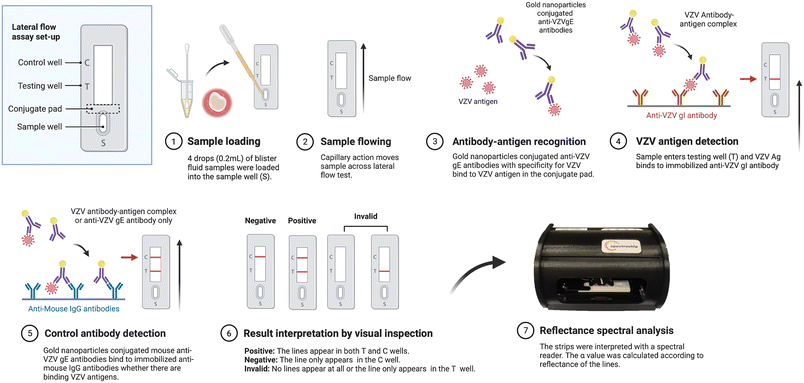 image file: d5sd00231a-f1.tif