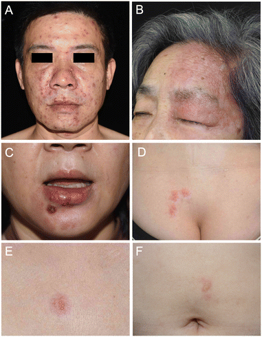 image file: d5sd00231a-f2.tif