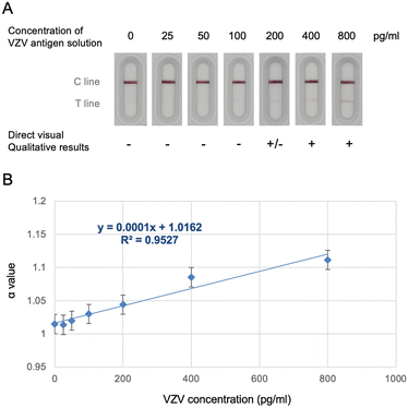 image file: d5sd00231a-f3.tif