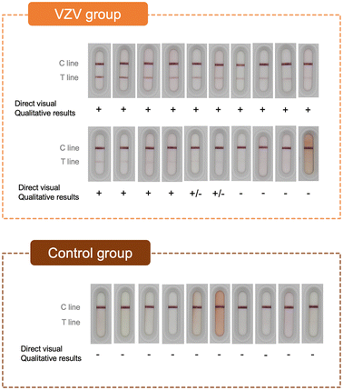 image file: d5sd00231a-f4.tif