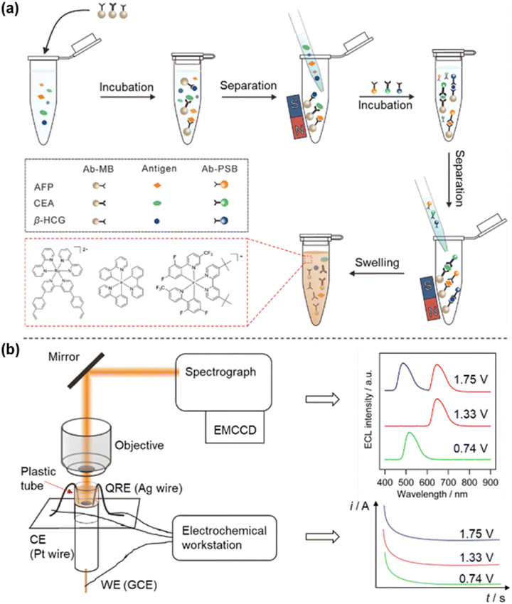 image file: d5sd00236b-f2.tif