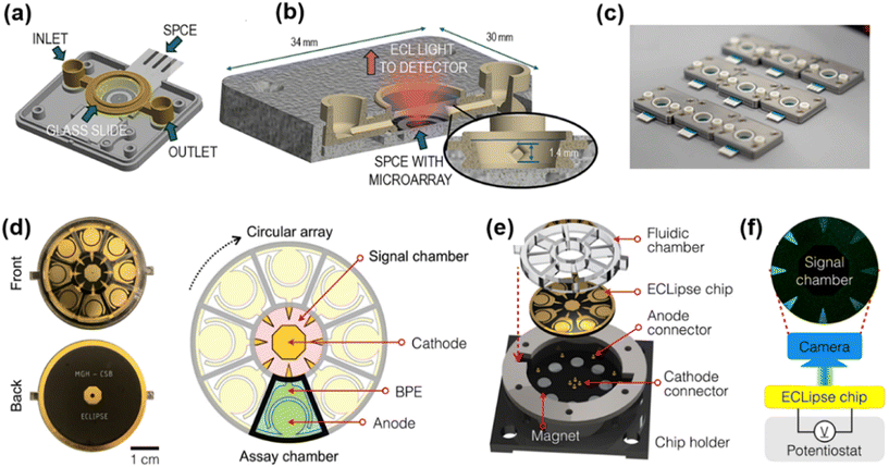 image file: d5sd00236b-f5.tif