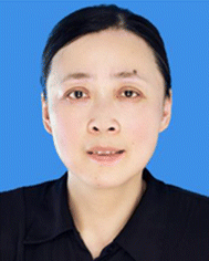 image file: d5sd00236b-p3.tif