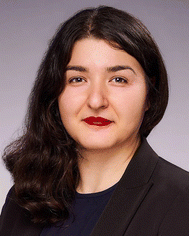 image file: d6sd90006b-u12.tif