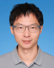 image file: d6sd90006b-u13.tif