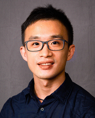 image file: d6sd90006b-u7.tif