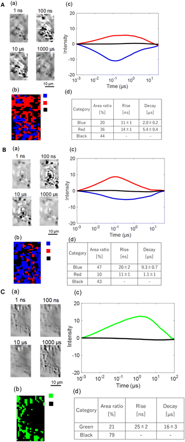 image file: d5se01070e-f6.tif