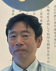 image file: d6se90017h-u2.tif