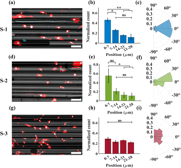 image file: d5sm00592b-f3.tif