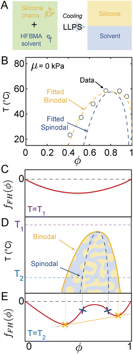 image file: d5sm00594a-f2.tif