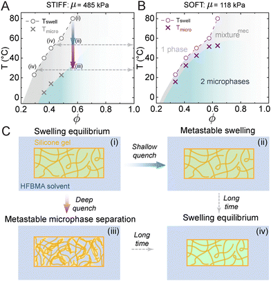 image file: d5sm00594a-f3.tif