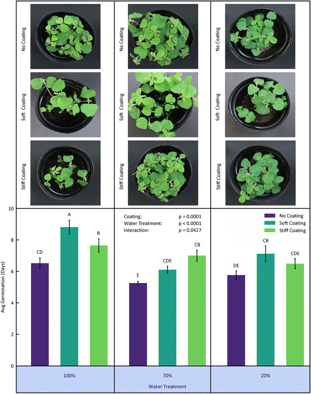 image file: d5sm00932d-f4.tif