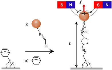 image file: d5sm00962f-f1.tif