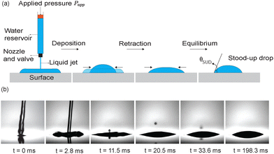 image file: d5sm00985e-f1.tif