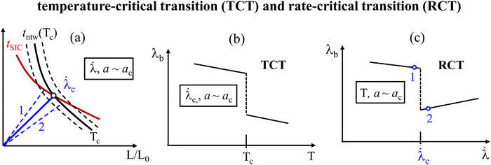 image file: d5sm01019e-f2.tif