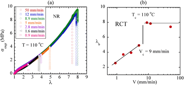 image file: d5sm01019e-f6.tif