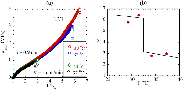 image file: d5sm01019e-f7.tif