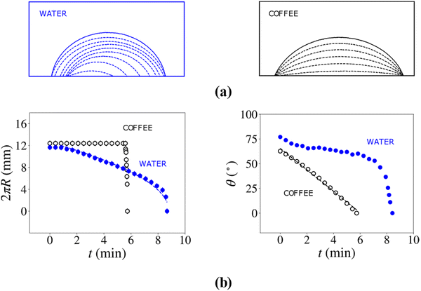 image file: d5sm01084e-f1.tif