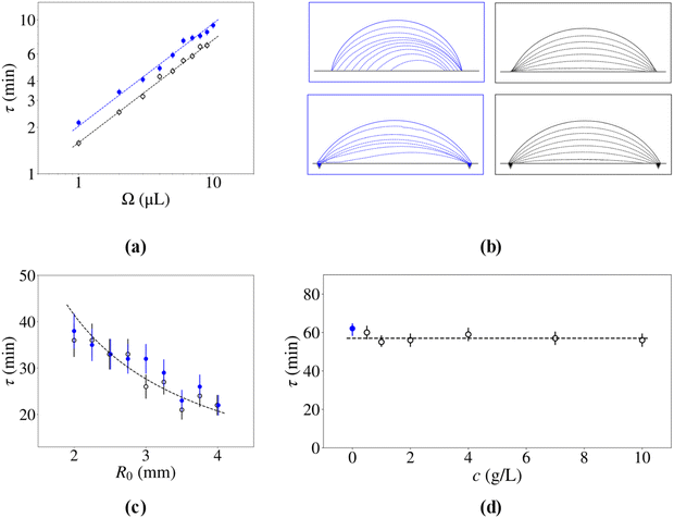 image file: d5sm01084e-f2.tif