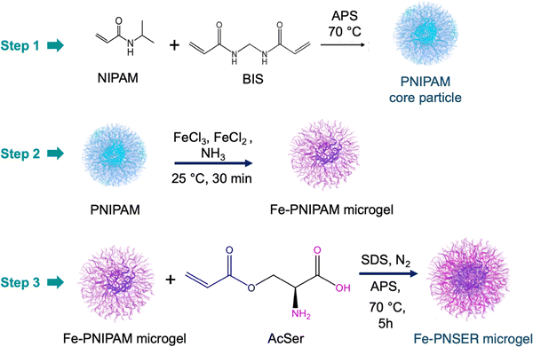 image file: d5sm01151e-f2.tif
