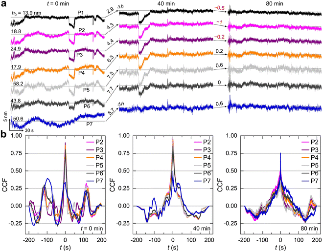 image file: d5sm01211b-f2.tif