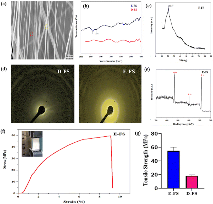image file: d5su00448a-f6.tif