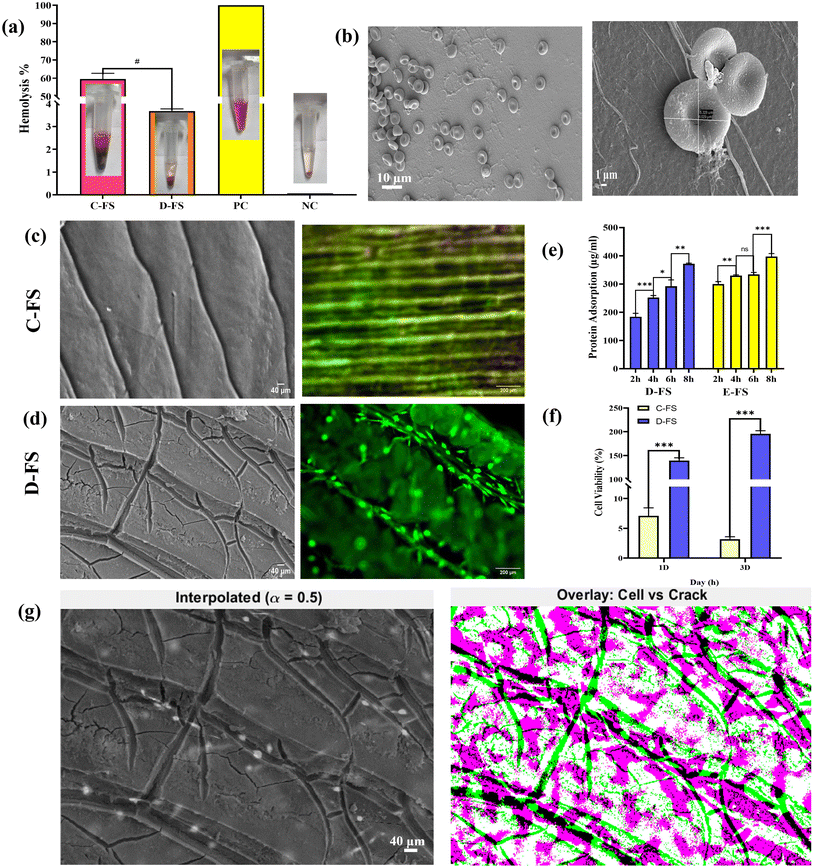 image file: d5su00448a-f7.tif