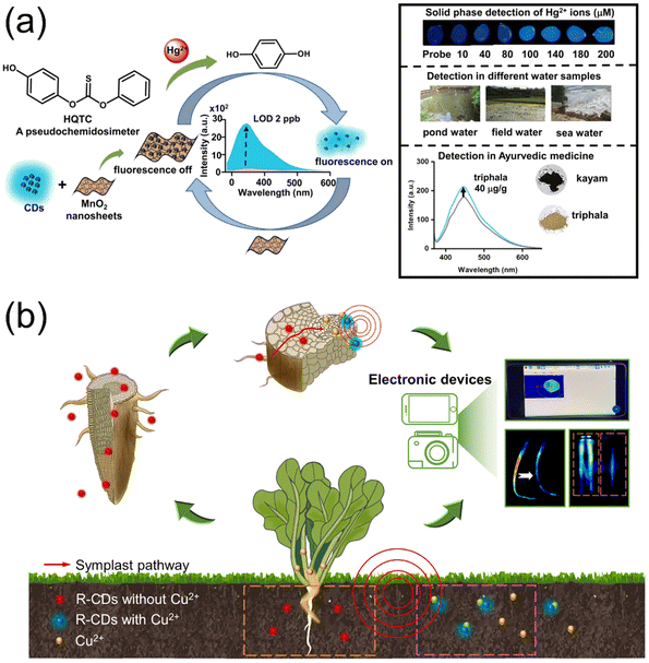 image file: d5su00583c-f7.tif