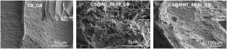 image file: d5su00592b-f3.tif