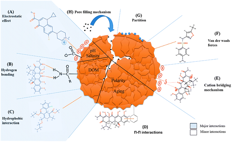 image file: d5su00634a-f19.tif