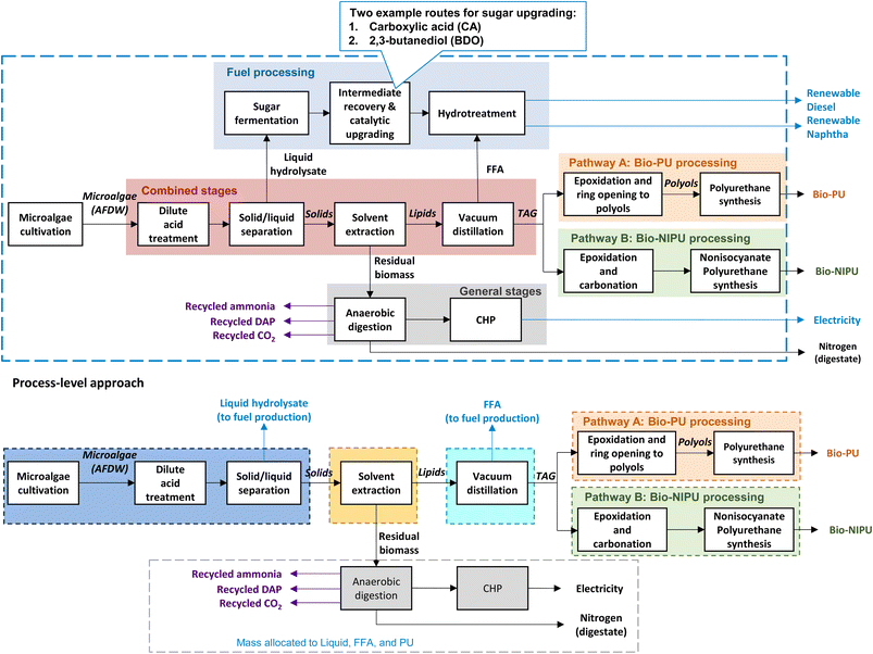 image file: d5su00708a-f1.tif