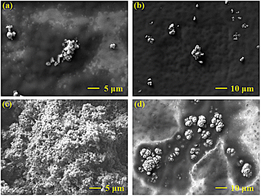 image file: d5su00732a-f2.tif