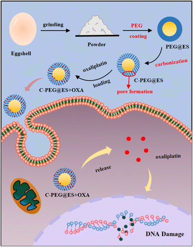 image file: d5su00732a-s1.tif